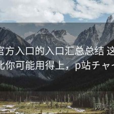 P站官方入口的入口汇总总结 这些对比你可能用得上，p站チャイ