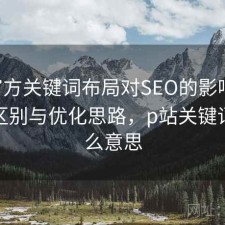 P站官方关键词布局对SEO的影响：有什么区别与优化思路，p站关键词是什么意思
