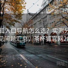 茶杯狐入口导航怎么选？实测分析与常见问题汇总，茶杯狐官网2021