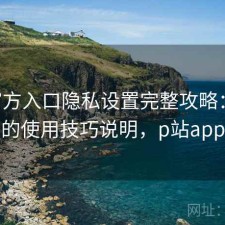 P站官方入口隐私设置完整攻略：新手必看的使用技巧说明，p站app设置