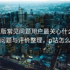 P站正版常见问题用户最关心什么？存在的问题与评价整理，p站怎么回事