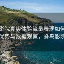 蜂鸟影院真实体验流量表现如何？有哪些优势与数据观察，蜂鸟影院网络