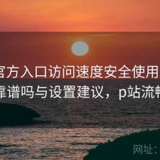 P站官方入口访问速度安全使用指南：靠谱吗与设置建议，p站流畅