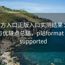 P站官方入口正版入口实测结果：如何使用与优缺点总结，p站format is not supported