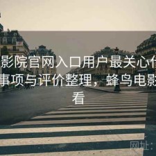 蜂鸟影院官网入口用户最关心什么？注意事项与评价整理，蜂鸟电影哪里看