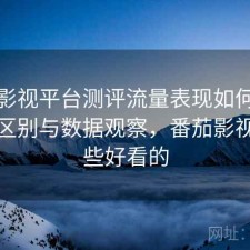 番茄影视平台测评流量表现如何？有什么区别与数据观察，番茄影视有哪些好看的