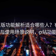 P站正版功能解析适合哪些人？有什么区别与使用场景说明，p站功能介绍
