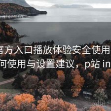 P站官方入口播放体验安全使用指南：如何使用与设置建议，p站 intro