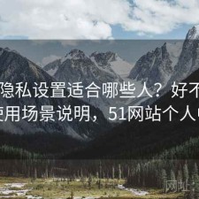 51网隐私设置适合哪些人？好不好用与使用场景说明，51网站个人中心