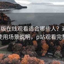 P站正版在线观看适合哪些人？避坑指南与使用场景说明，p站观看完整视频