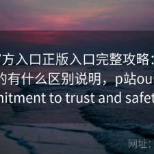 P站官方入口正版入口完整攻略：新手必看的有什么区别说明，p站our commitment to trust and safety