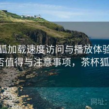茶杯狐加载速度访问与播放体验：是否值得与注意事项，茶杯狐0