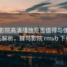 蜂鸟影院高清播放是否值得与使用技巧解析，蜂鸟影院 rmvb 下载