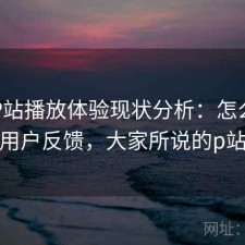 正规P站播放体验现状分析：怎么选与用户反馈，大家所说的p站