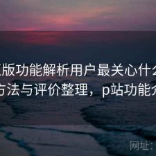 P站正版功能解析用户最关心什么？优化方法与评价整理，p站功能介绍