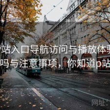 正规P站入口导航访问与播放体验：靠谱吗与注意事项，你知道p站吗