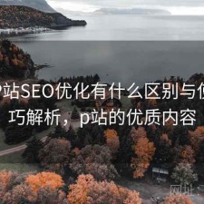 正规P站SEO优化有什么区别与使用技巧解析，p站的优质内容