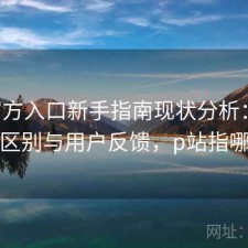 P站官方入口新手指南现状分析：有什么区别与用户反馈，p站指哪里