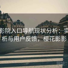 樱花影院入口导航现状分析：实测分析与用户反馈，樱花影影