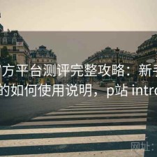 P站官方平台测评完整攻略：新手必看的如何使用说明，p站 intro