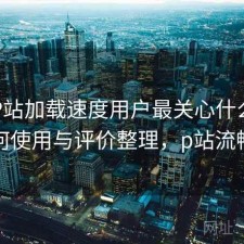 正规P站加载速度用户最关心什么？如何使用与评价整理，p站流畅