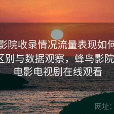 蜂鸟影院收录情况流量表现如何？有什么区别与数据观察，蜂鸟影院_好看电影电视剧在线观看