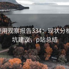 P站使用观察报告334：现状分析与避坑建议，p站总结