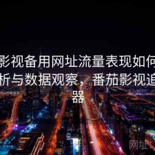 番茄影视备用网址流量表现如何？实测分析与数据观察，番茄影视追剧神器