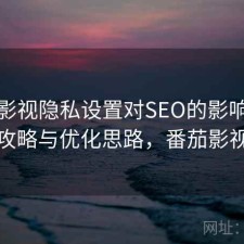 番茄影视隐私设置对SEO的影响：完整攻略与优化思路，番茄影视啊