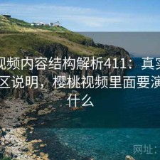 樱桃视频内容结构解析411：真实情况与误区说明，樱桃视频里面要演的是什么