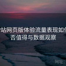 正规P站网页版体验流量表现如何？是否值得与数据观察