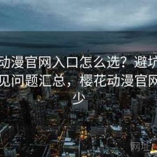 樱花动漫官网入口怎么选？避坑指南与常见问题汇总，樱花动漫官网是多少