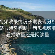 西瓜视频收录情况长期表现分析：完整攻略与趋势判断，西瓜视频收益是看播放量还是阅读量