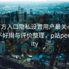 P站官方入口隐私设置用户最关心什么？好不好用与评价整理，p站personality