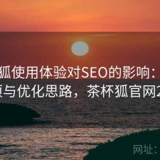 茶杯狐使用体验对SEO的影响：注意事项与优化思路，茶杯狐官网2021