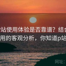正规P站使用体验是否靠谱？结合好不好用的客观分析，你知道p站吗