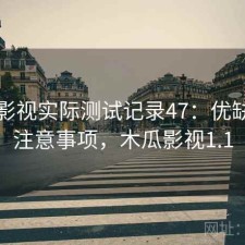 木瓜影视实际测试记录47：优缺点与注意事项，木瓜影视1.1