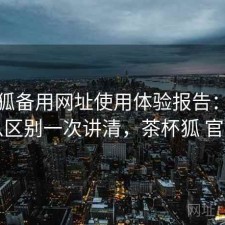 茶杯狐备用网址使用体验报告：有什么区别一次讲清，茶杯狐 官网