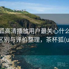 茶杯狐高清播放用户最关心什么？有什么区别与评价整理，茶杯狐(upfox)