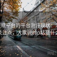 P站正规平台的平台测评现状：清单与用户关注点，大家说的p站是什么网站