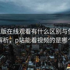 P站正版在线观看有什么区别与使用技巧解析，p站能看视频的是哪个啊