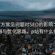 P站官方常见问题对SEO的影响：是否值得与优化思路，p站有什么作用