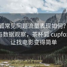 茶杯狐常见问题流量表现如何？如何使用与数据观察，茶杯狐 cupfox 努力让找电影变得简单