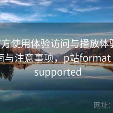 P站官方使用体验访问与播放体验：避坑指南与注意事项，p站format is not supported
