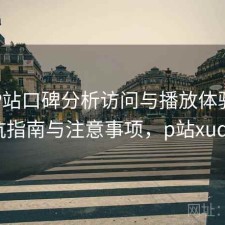 正规P站口碑分析访问与播放体验：避坑指南与注意事项，p站xude