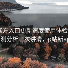 P站官方入口更新速度使用体验报告：实测分析一次讲清，p站新app