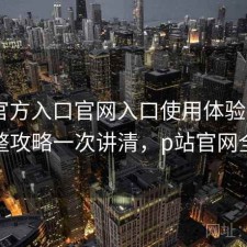 P站官方入口官网入口使用体验报告：完整攻略一次讲清，p站官网全称