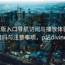 P站正版入口导航访问与播放体验：靠谱吗与注意事项，p站diviner
