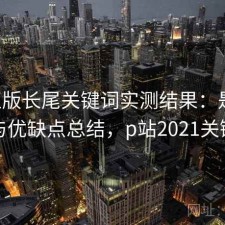 P站正版长尾关键词实测结果：是否值得与优缺点总结，p站2021关键词