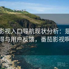 番茄影视入口导航现状分析：是否值得与用户反馈，番茄影视啊